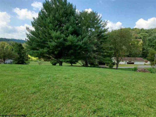 TBD LEWIS ACRES DRIVE, MOUNT CLARE, WV 26408, photo 2 of 10