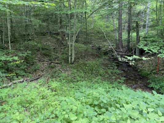 LOT 25 OLD BLACK BEAR TRAIL DRIVE, DAVIS, WV 26260, photo 4 of 7