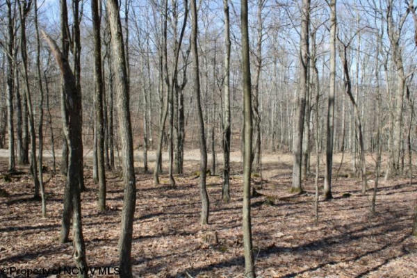LOT 6 SAND BANK HEIGHTS ROAD, MASONTOWN, WV 26542, photo 5 of 9