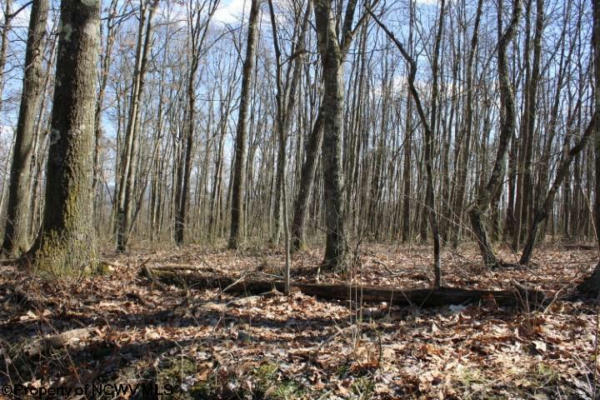 LOT 2 SAND BANK HEIGHTS ROAD, MASONTOWN, WV 26542, photo 4 of 9