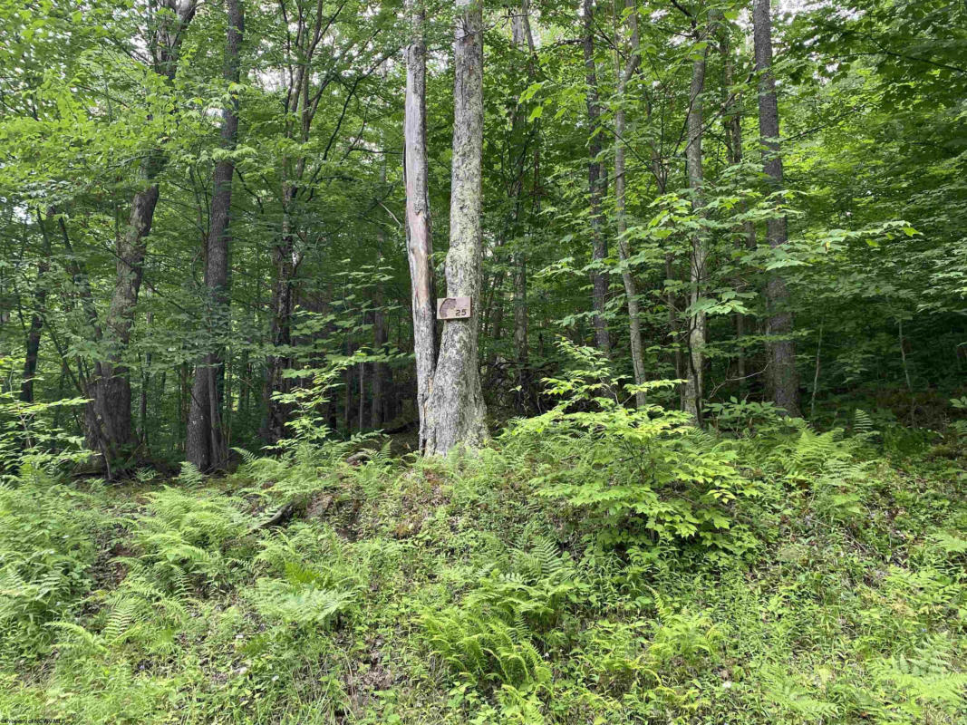 LOT 25 OLD BLACK BEAR TRAIL DRIVE, DAVIS, WV 26260, photo 1 of 7