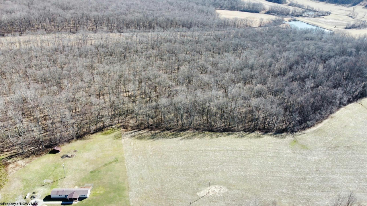 TBD A NORTH PRESTON HIGHWAY ROAD, BRUCETON MILLS, WV 26525, photo 1 of 23