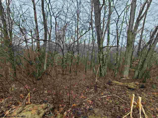 TBD GLADE RUN ROAD, MOATSVILLE, WV 26405, photo 4 of 5