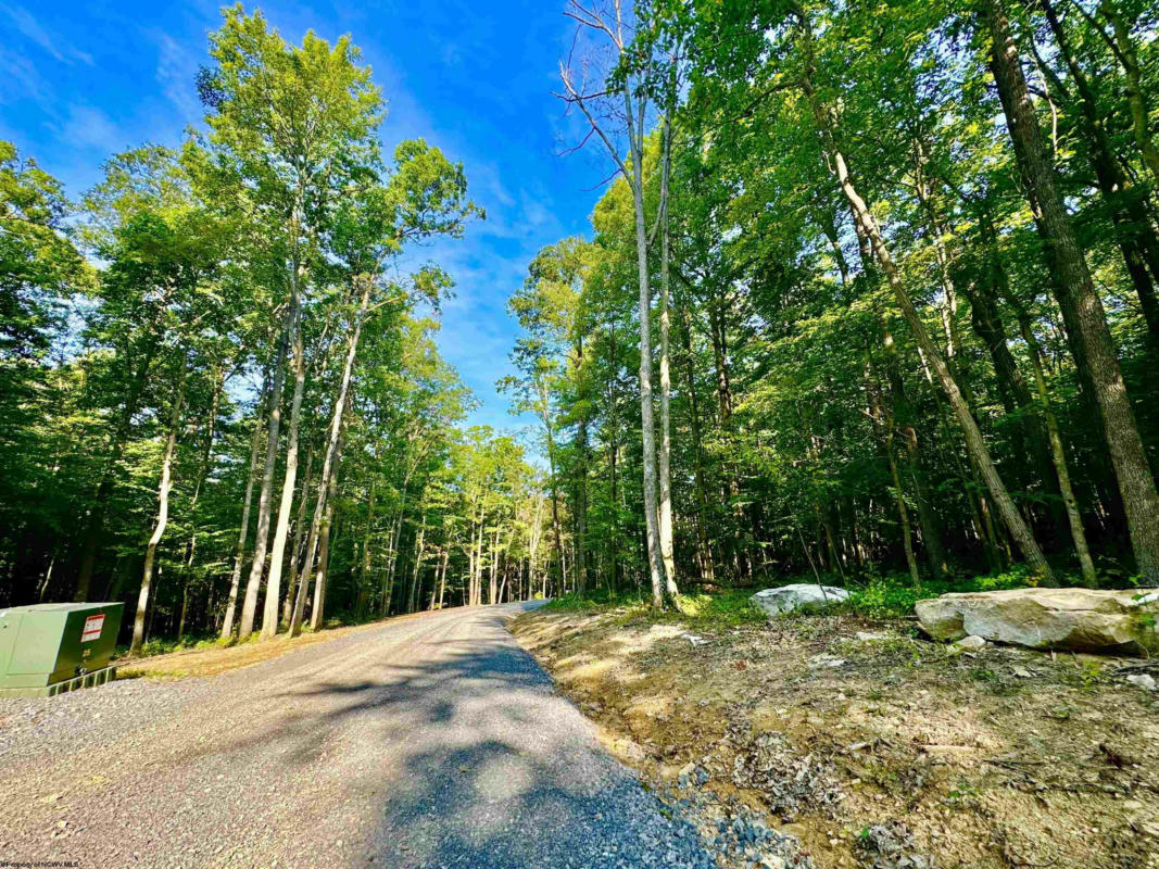 LOT 25 WHISKEY WOODS LANE, BRUCETON MILLS, WV 26525, photo 1 of 50