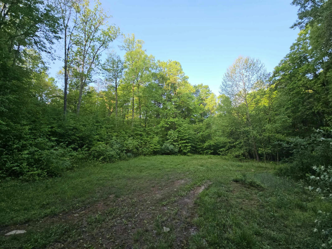 TRACT 3 - TBD JOHN ORR/ SAND PLANT ROAD, INDEPENDENCE, WV 26374, photo 1 of 50