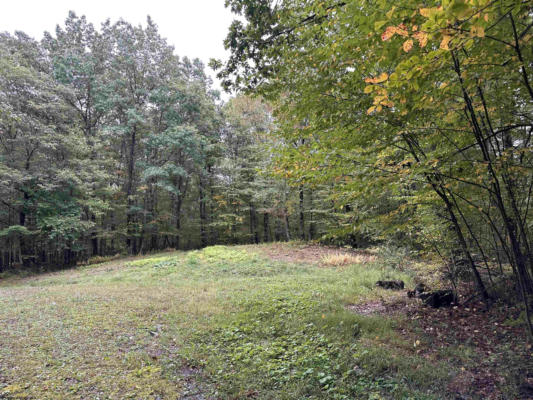 LOT 4 DECKERS TRAIL ROAD, MASONTOWN, WV 26542 - Image 1