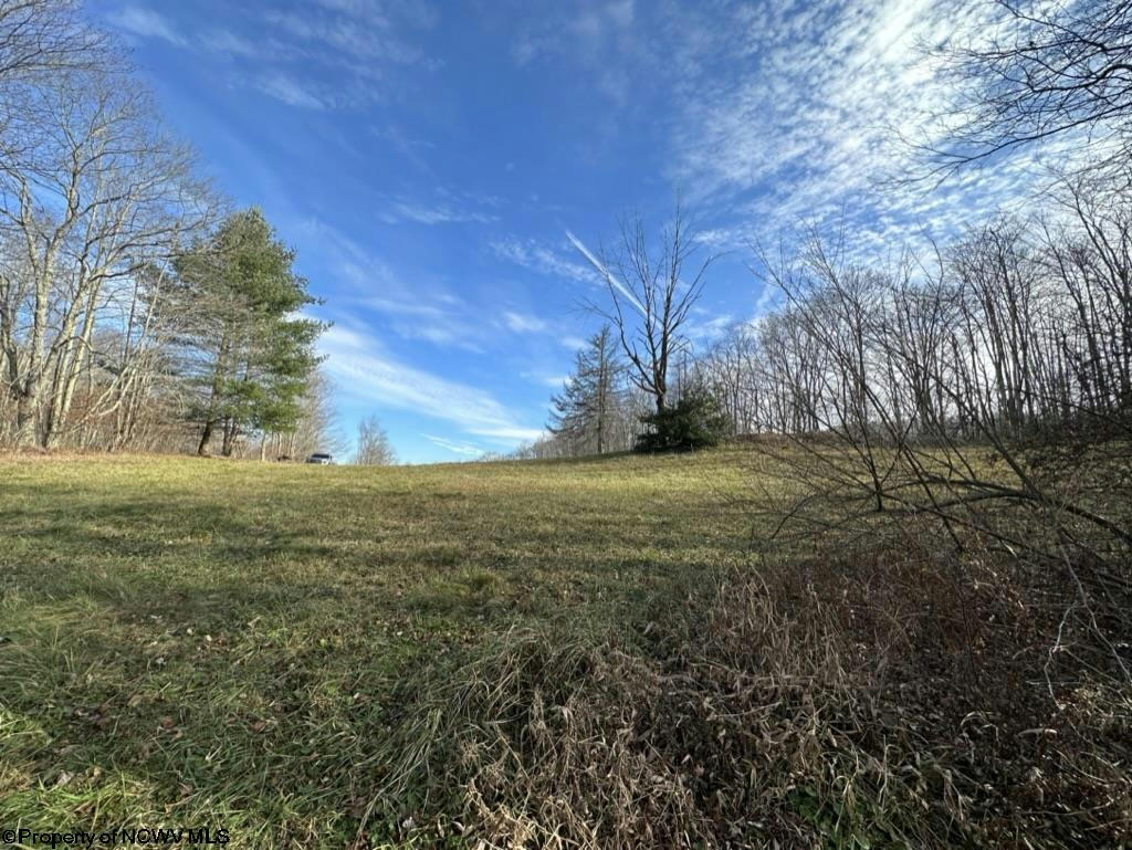 TBD SCHOOL HOUSE HOLLOW ROAD, GLADY, WV 26268, photo 1 of 28
