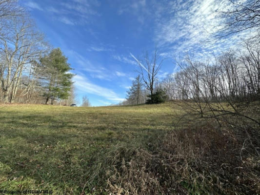 TBD SCHOOL HOUSE HOLLOW ROAD, GLADY, WV 26268 - Image 1