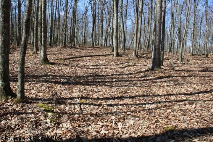 LOT 4 SAND BANK HEIGHTS ROAD, MASONTOWN, WV 26542, photo 1 of 9