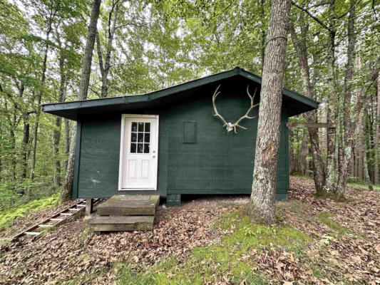 5947 SLAB CAMP RD, RENICK, WV 24966 - Image 1