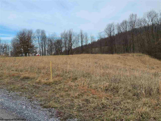 LOT 2&3 HIGH MEADOW DRIVE, MOATSVILLE, WV 26405, photo 3 of 6