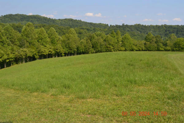 000 HAWK'S VIEW LANE, NAPIER, WV 26631 - Image 1