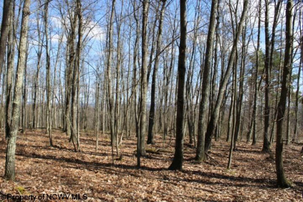 LOT 3 SAND BANK HEIGHTS ROAD, MASONTOWN, WV 26542, photo 3 of 9