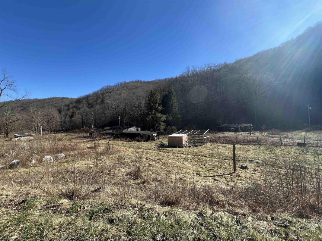 3595 LICKING CREEK RD, PARSONS, WV 26287, photo 1 of 3