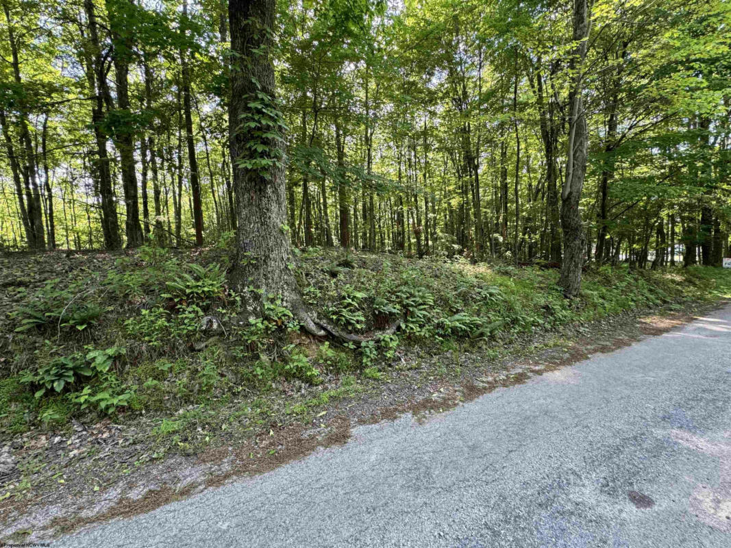 PARCEL 7 N BUNNER RIDGE ROAD, FAIRMONT, WV 26554, photo 1 of 9