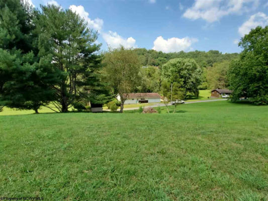 TBD LEWIS ACRES DRIVE, MOUNT CLARE, WV 26408 - Image 1