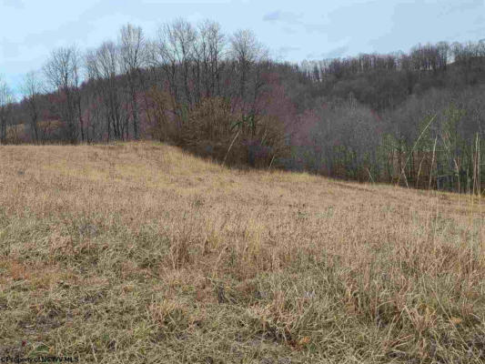LOT 2&3 HIGH MEADOW DRIVE, MOATSVILLE, WV 26405, photo 4 of 6