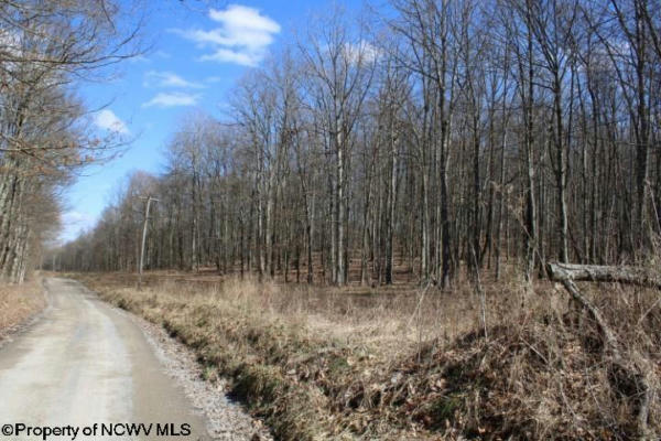 LOT 7 SAND BANK HEIGHTS ROAD, MASONTOWN, WV 26542, photo 4 of 9