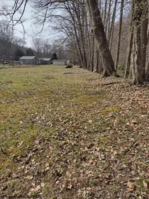 0 INDIAN FORK ROAD, PHILIPPI, WV 26416 - Image 1