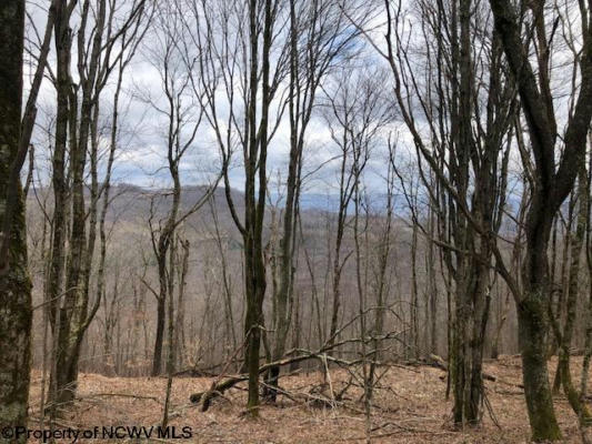 TBD POINT MOUNTAIN ROAD, MONTERVILLE, WV 26282, photo 4 of 19