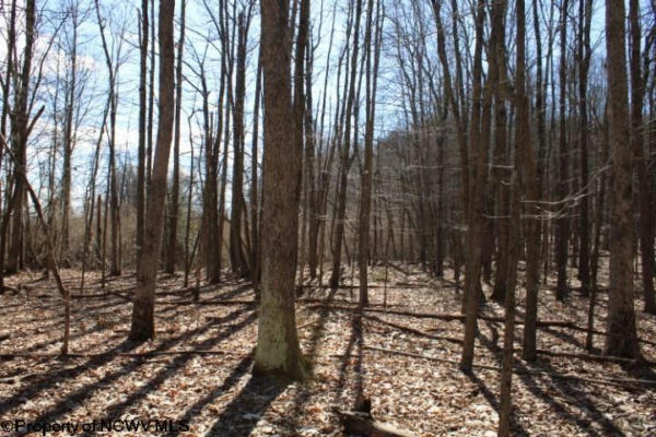 LOT 4 SAND BANK HEIGHTS ROAD, MASONTOWN, WV 26542, photo 3 of 9