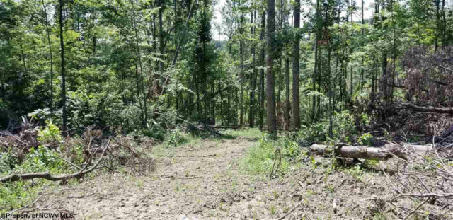 4ACRE HALLECK ROAD, MORGANTOWN, WV 26508, photo 4 of 5