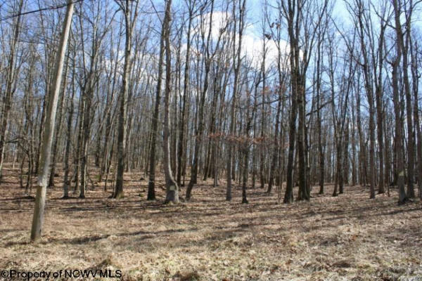 LOT 7 SAND BANK HEIGHTS ROAD, MASONTOWN, WV 26542, photo 2 of 9