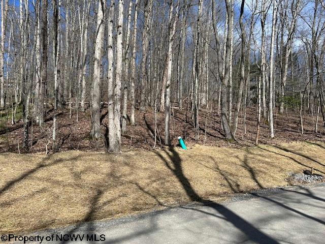30 WOODLAND DR, BEVERLY, WV 26253, photo 1 of 4