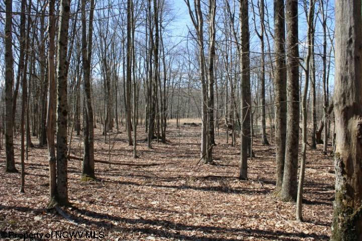 LOT 7 SAND BANK HEIGHTS ROAD, MASONTOWN, WV 26542, photo 1 of 9