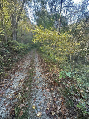 TBA CANNON HILL ROAD, ROWLESBURG, WV 26425 - Image 1