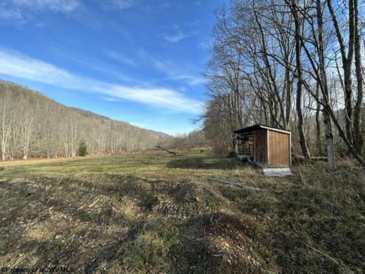 TBD SCHOOL HOUSE HOLLOW ROAD, GLADY, WV 26268, photo 4 of 28