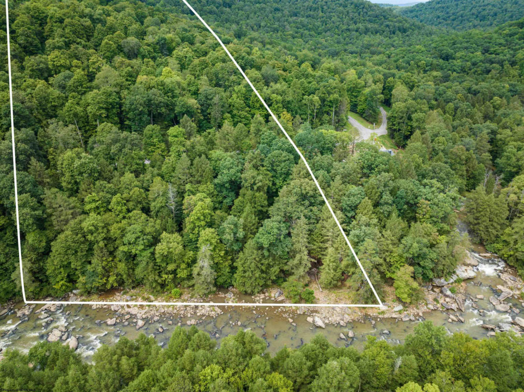 LOT 30 WHITEWATER PRESERVE DRIVE, BRUCETON MILLS, WV 26525, photo 1 of 11