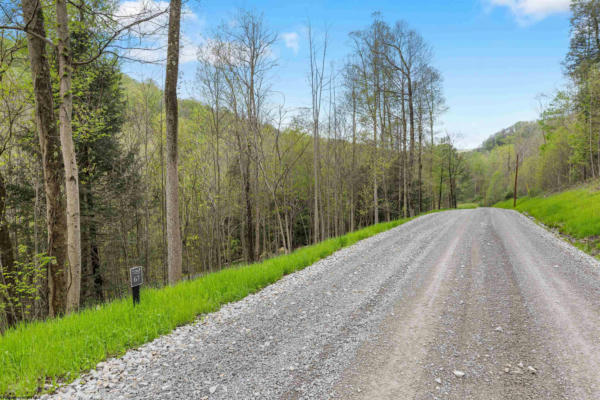 LOT 67 WHITEWATER PRESERVE PARKWAY, BRUCETON MILLS, WV 26525 - Image 1