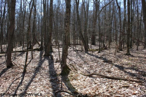 LOT 5 SAND BANK HEIGHTS ROAD, MASONTOWN, WV 26542, photo 3 of 8