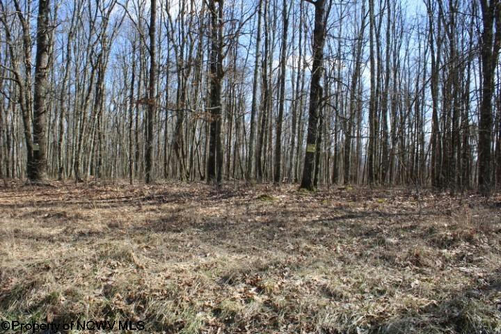 LOT 3 SAND BANK HEIGHTS ROAD, MASONTOWN, WV 26542, photo 1 of 9