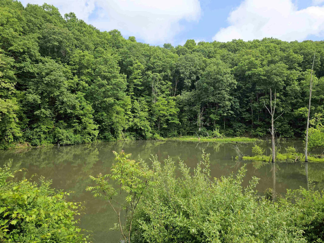 TRACT 6 - TBD IRONTOWN ROAD, INDEPENDENCE, WV 26374, photo 1 of 15