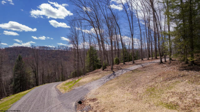 LOT 107 WHITEWATER PRESERVE PARKWAY, BRUCETON MILLS, WV 26525, photo 5 of 43