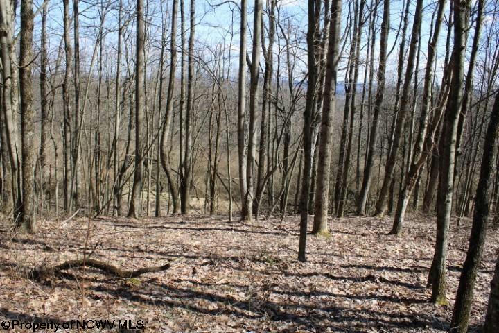 LOT 2 SAND BANK HEIGHTS ROAD, MASONTOWN, WV 26542, photo 1 of 9