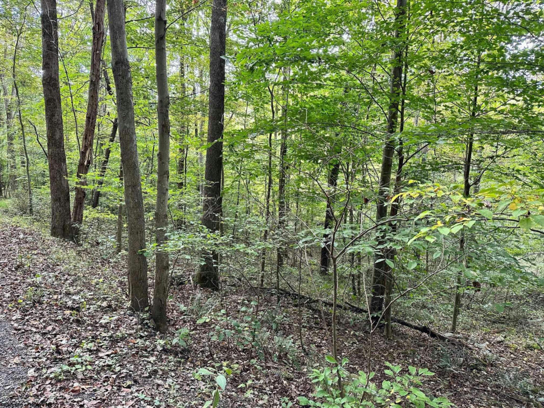 TBD LOT 4 ROUTE 250 - LOST RUN ROAD, GRAFTON, WV 26354, photo 1 of 2