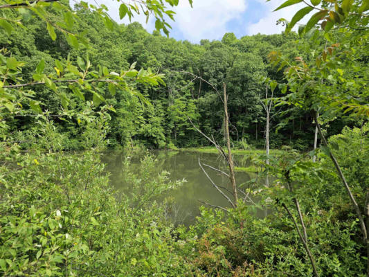 TRACT 6 - TBD IRONTOWN ROAD, INDEPENDENCE, WV 26374, photo 4 of 15
