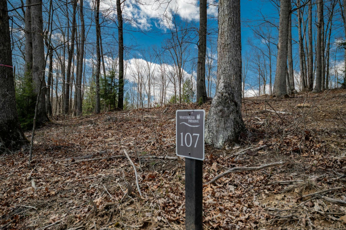 LOT 107 WHITEWATER PRESERVE PARKWAY, BRUCETON MILLS, WV 26525, photo 1 of 43