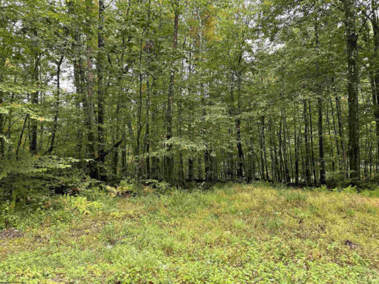 LOT 3 DECKERS TRAIL ROAD, MASONTOWN, WV 26542 - Image 1