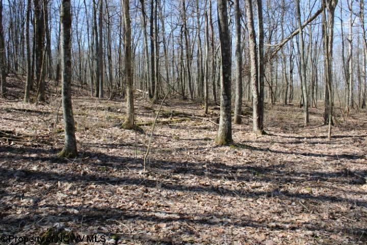 LOT 5 SAND BANK HEIGHTS ROAD, MASONTOWN, WV 26542, photo 1 of 8