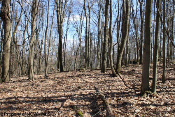 LOT 6 SAND BANK HEIGHTS ROAD, MASONTOWN, WV 26542, photo 3 of 9