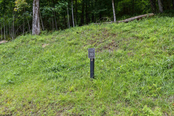 LOT 30 WHITEWATER PRESERVE DRIVE, BRUCETON MILLS, WV 26525, photo 3 of 11